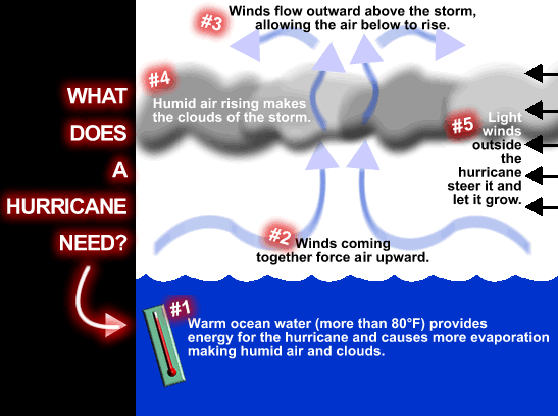 Wat is een orkaan?